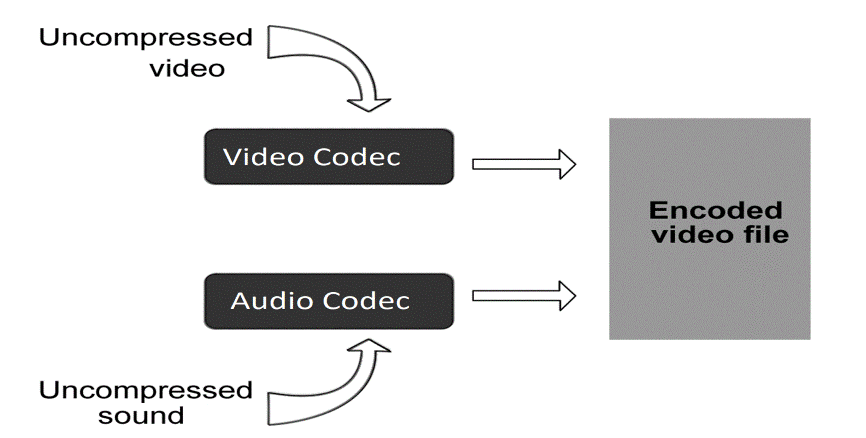 Codec In Chrome and Chromium